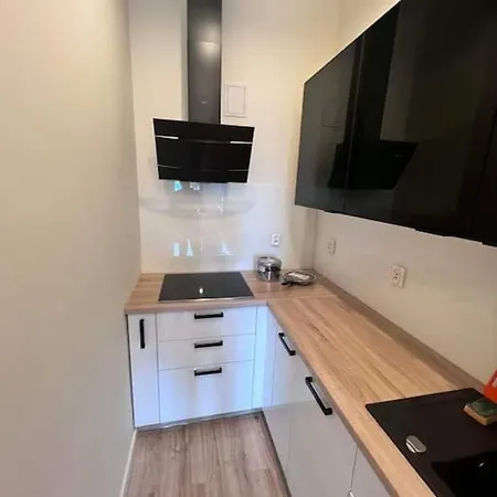 Komfortowy Apartament W Centrum 제수프